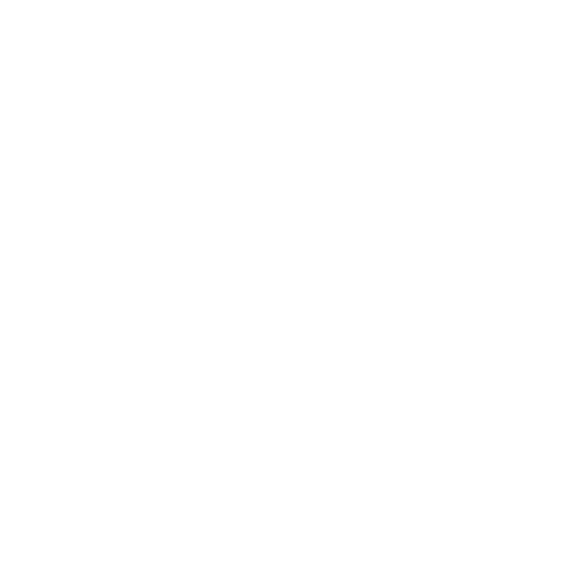 CTI Academy Logo